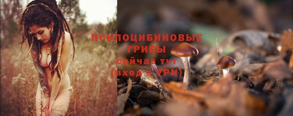 шишки Кукмор