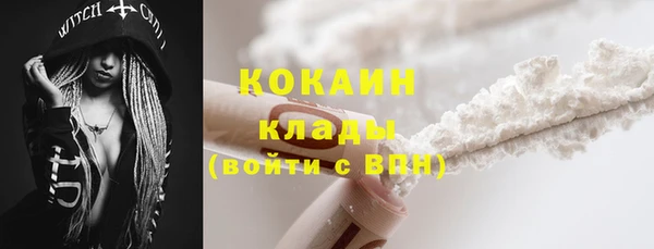 шишки Кукмор