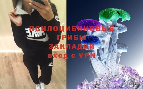 шишки Кукмор