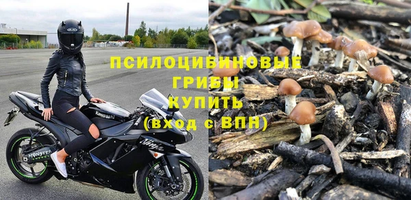 тгк Кулебаки
