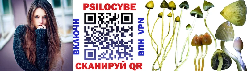 Галлюциногенные грибы Magic Shrooms  Купить  Агрыз 